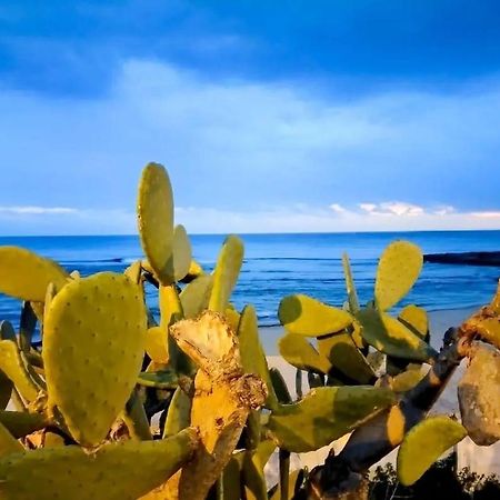 Appartamento Lido San Giovanni Gallipoli Eksteriør billede