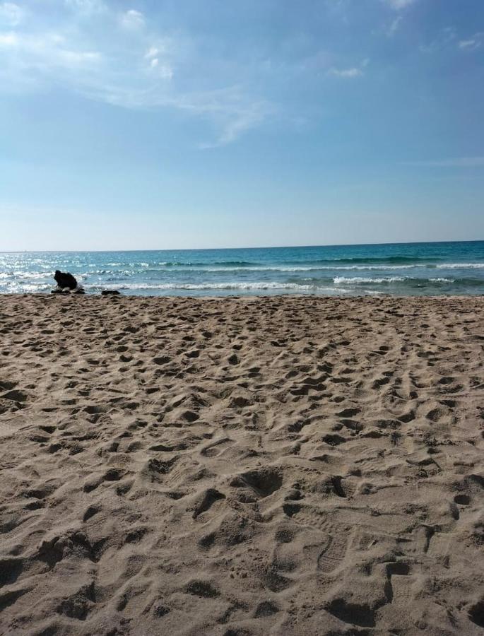 Appartamento Lido San Giovanni Gallipoli Eksteriør billede